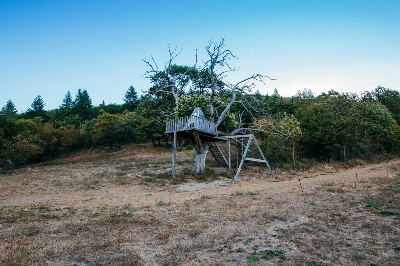 Domaine De Merlac Rieussec Exteriér fotografie